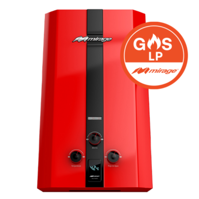 Boiler Flux Gas LP 2 Servicios