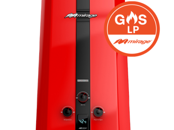 Boiler Flux Gas LP 2 Servicios