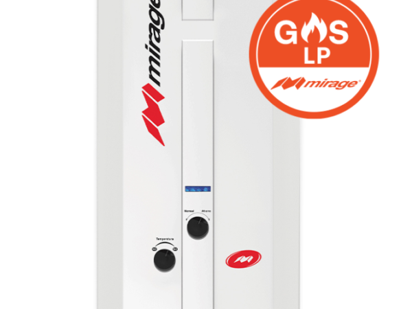 Boiler Gas LP 1 Servicio